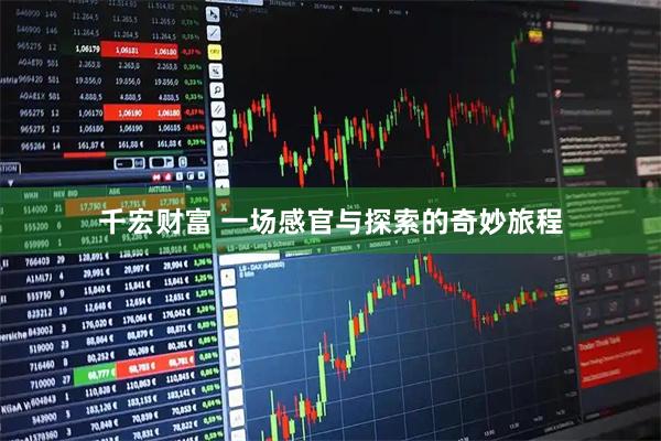 千宏财富 一场感官与探索的奇妙旅程