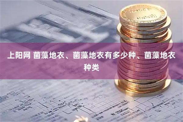 上阳网 菌藻地衣、菌藻地衣有多少种、菌藻地衣种类