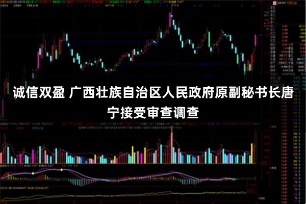 诚信双盈 广西壮族自治区人民政府原副秘书长唐宁接受审查调查